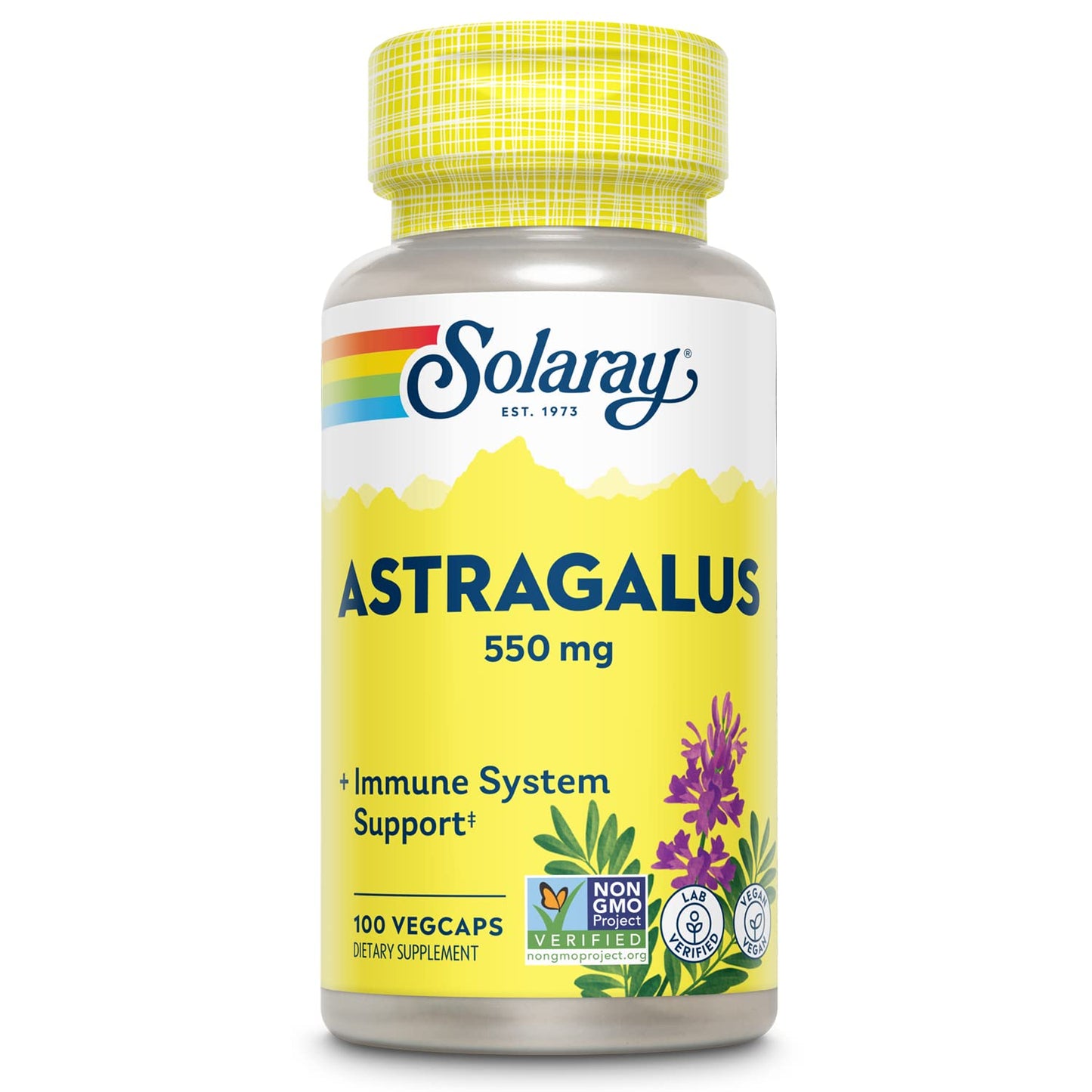 SOLARAY Astragalus Root 550mg - Immune Support & Stress Adaptogen - 100 VegCaps - Non-GMO & Vegan