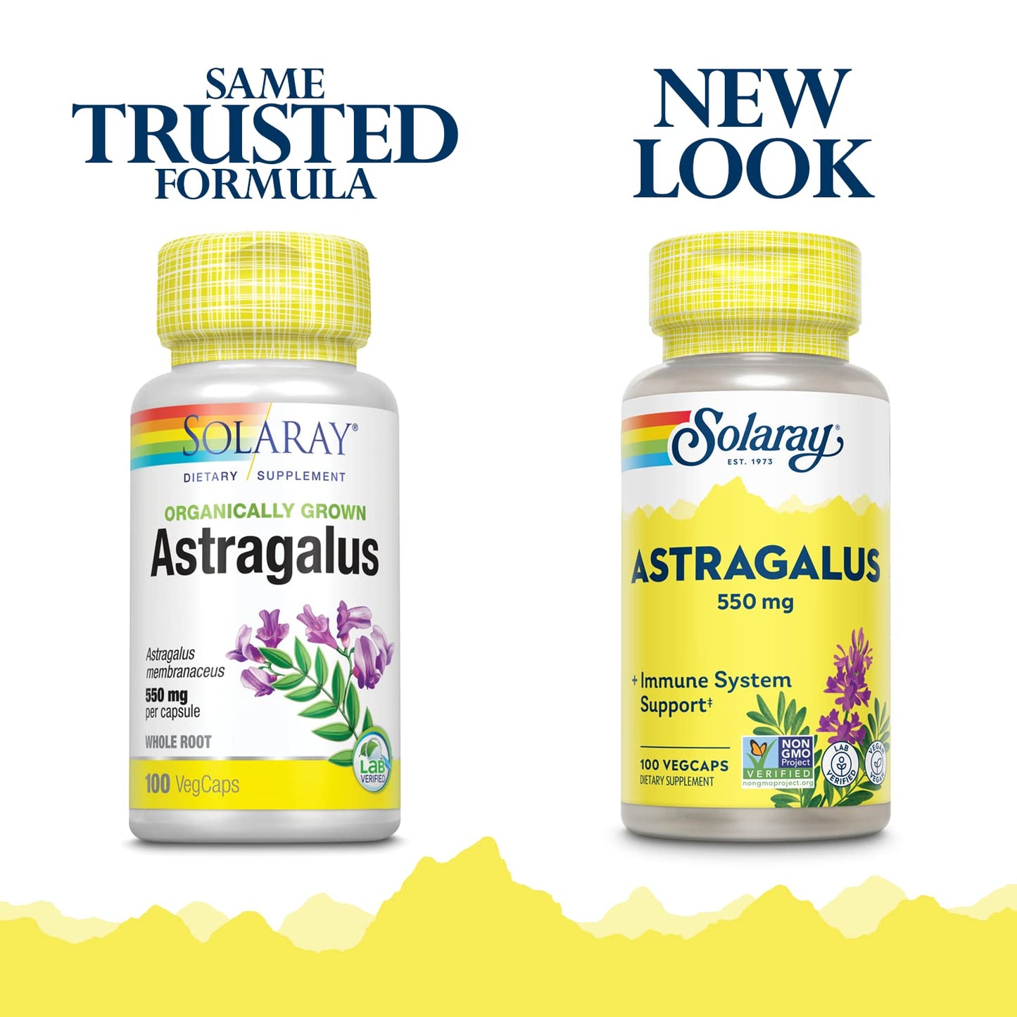SOLARAY Astragalus Root 550mg - Immune Support & Stress Adaptogen - 100 VegCaps - Non-GMO & Vegan