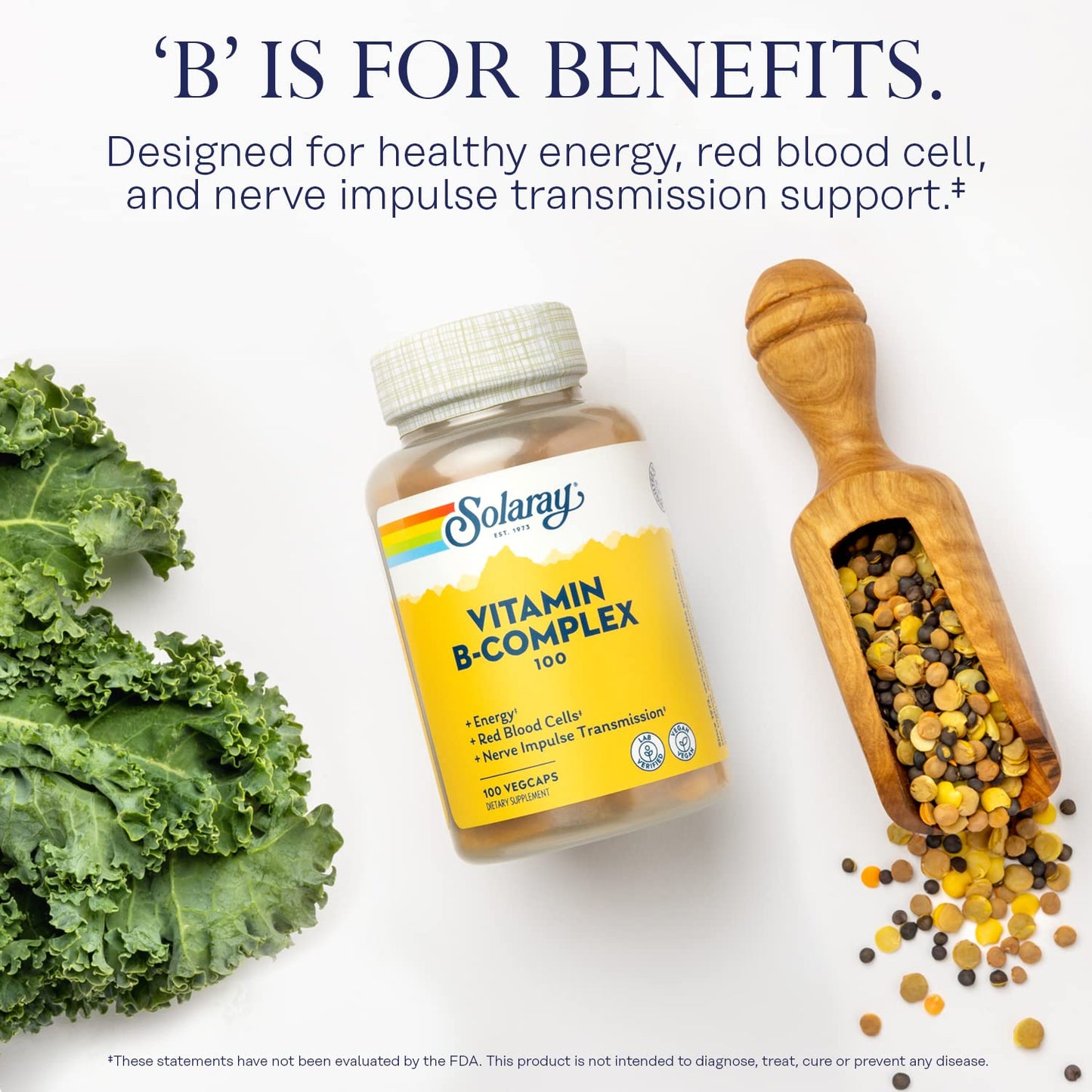 SOLARAY Vitamin B Complex – Healthy Energy, Immune & Nerve Support | Vegan 100 VegCaps