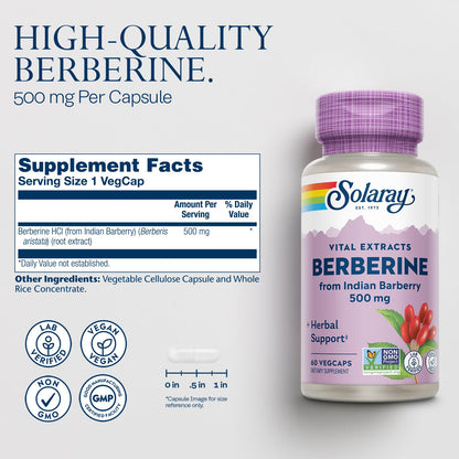 SOLARAY Berberine 500mg – Berberine Supplement for a Healthy, Active Lifestyle | 60 Servings, Vegan & Non-GMO