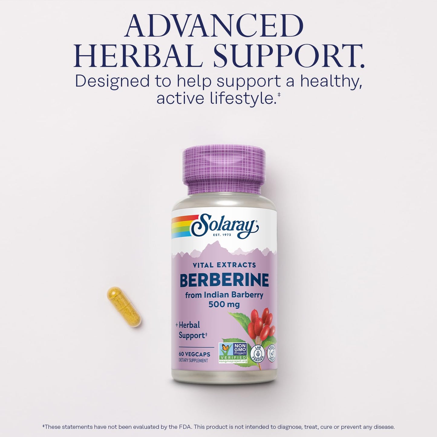 SOLARAY Berberine 500mg – Berberine Supplement for a Healthy, Active Lifestyle | 60 Servings, Vegan & Non-GMO
