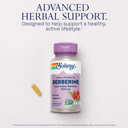 SOLARAY Berberine 500mg – Berberine Supplement for a Healthy, Active Lifestyle | 60 Servings, Vegan & Non-GMO