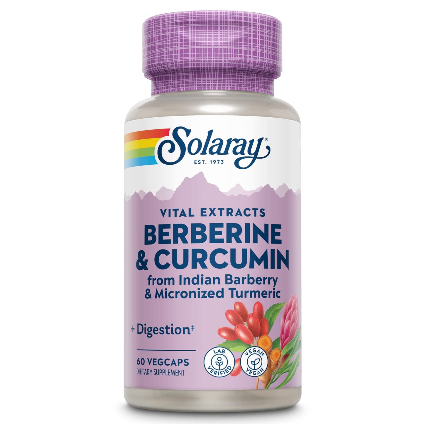 SOLARAY Berberine & Curcumin – 60 Servings, Vegan & Gluten Free