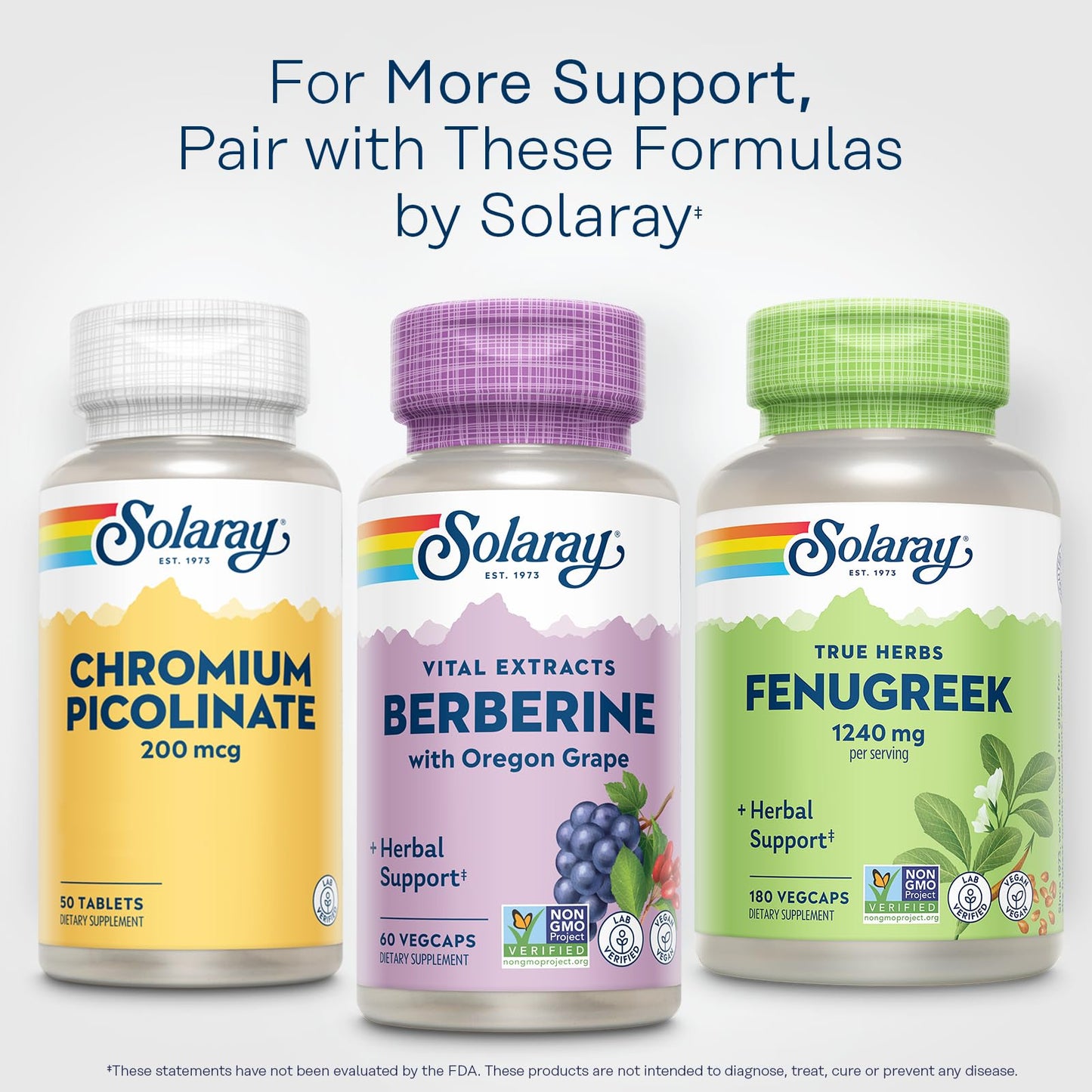 SOLARAY Berberine Root Extract Advanced Formula | AMPK Activator, Immunity & Digestion Support | 60 VegCaps