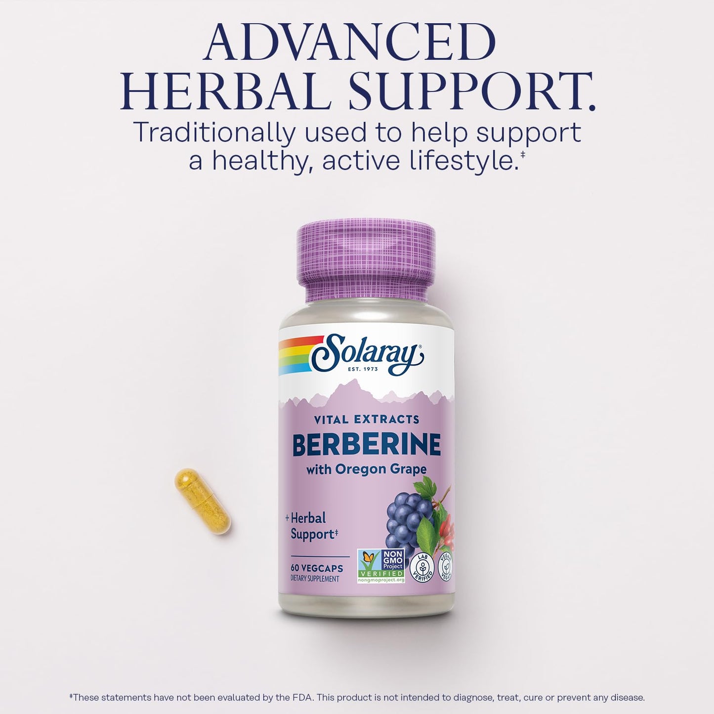 SOLARAY Berberine Root Extract Advanced Formula | AMPK Activator, Immunity & Digestion Support | 60 VegCaps
