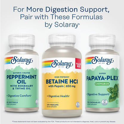 Solaray Betaine HCL with Pepsin – Digestive Enzymes for Gut Health | 60-Day Guarantee