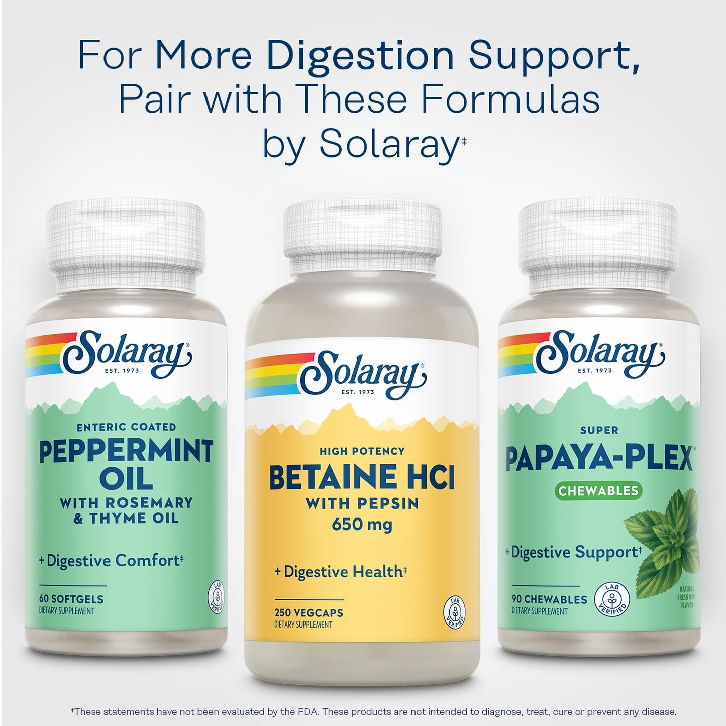 SOLARAY Betaine HCL with Pepsin – High Potency Digestive Enzymes for Gut Support | 250 VegCaps