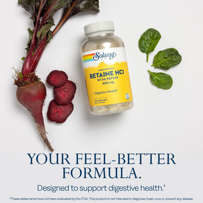 SOLARAY Betaine HCL with Pepsin – High Potency Digestive Enzymes for Gut Support | 250 VegCaps