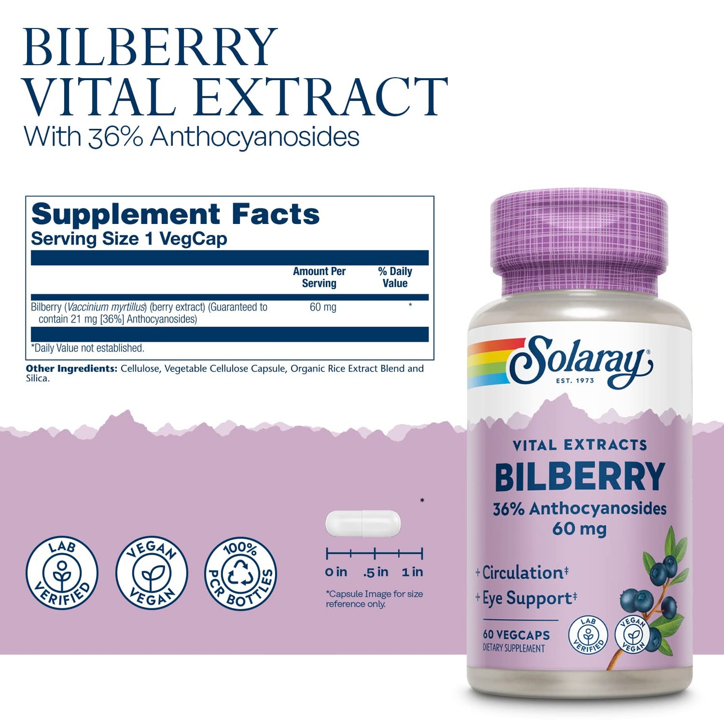 SOLARAY Bilberry Berry Extract 60 mg – Vision Support, Antioxidant & Circulation | 60 VegCaps