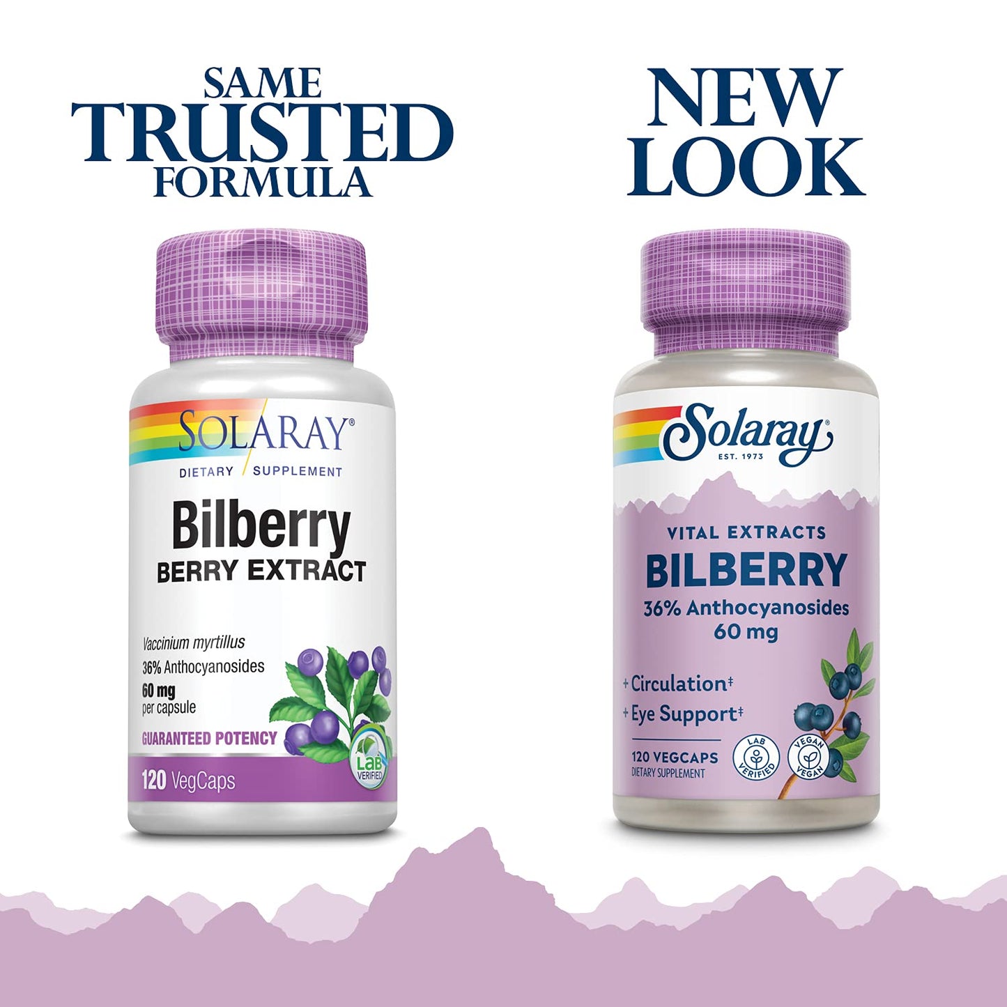 SOLARAY Bilberry Berry Extract 60 mg per Capsule | Vision & Circulation Support | 120 VegCaps