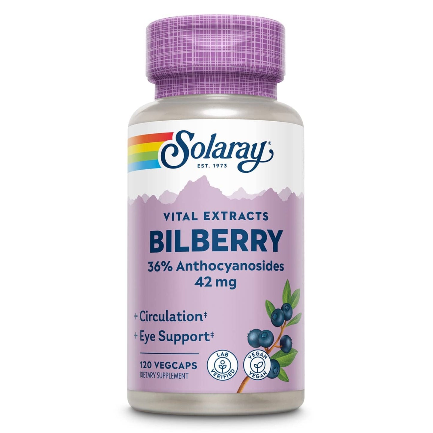 SOLARAY Bilberry 42 mg - Eye Health & Circulation (Vegan, 120 VegCaps)