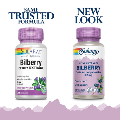 SOLARAY Bilberry 42 mg - Eye Health & Circulation (Vegan, 120 VegCaps)