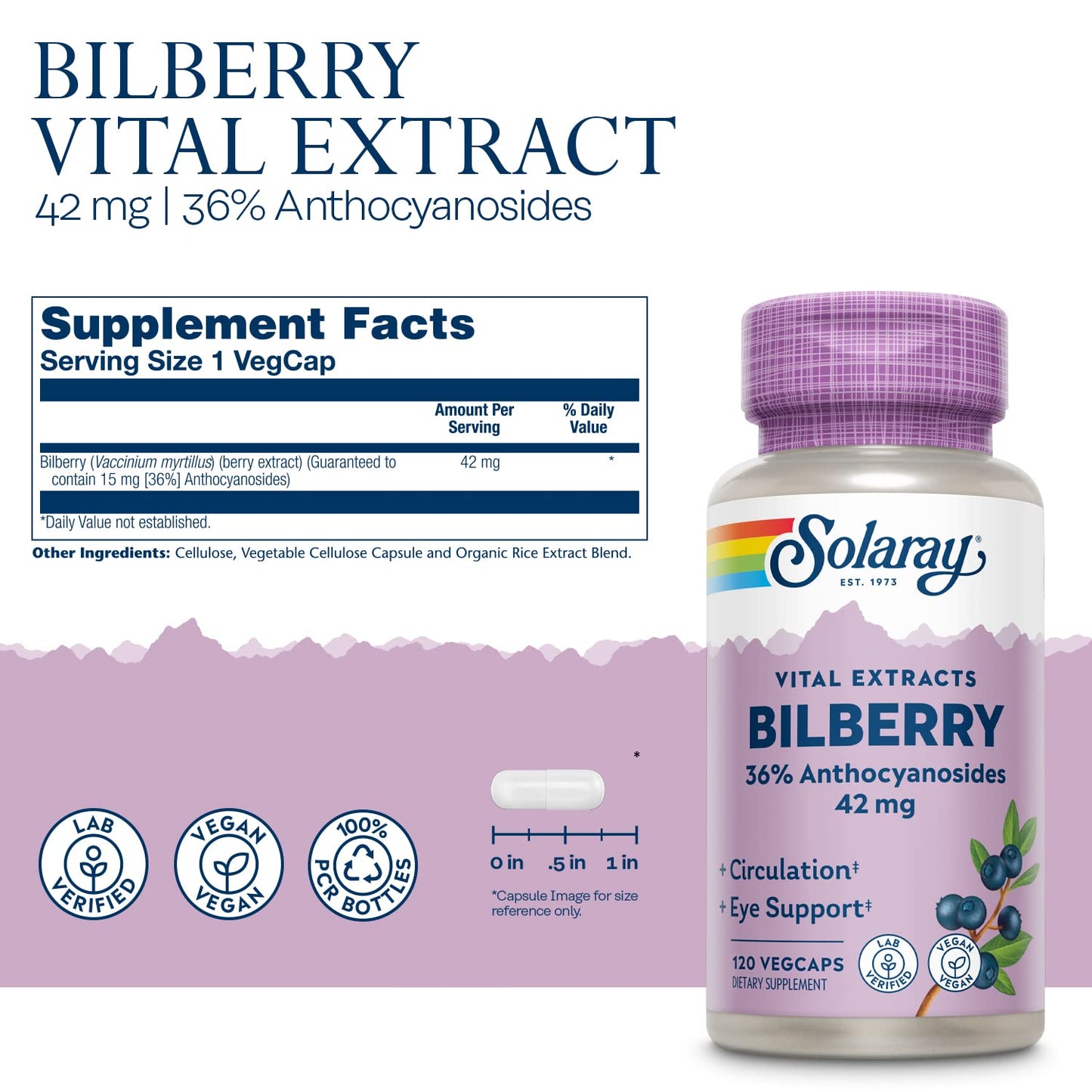 SOLARAY Bilberry 42 mg - Eye Health & Circulation (Vegan, 120 VegCaps)