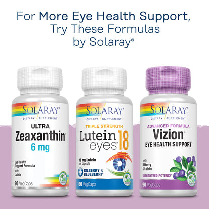 SOLARAY Bilberry Berry Extract 60 mg per Capsule | Vision & Circulation Support | 120 VegCaps