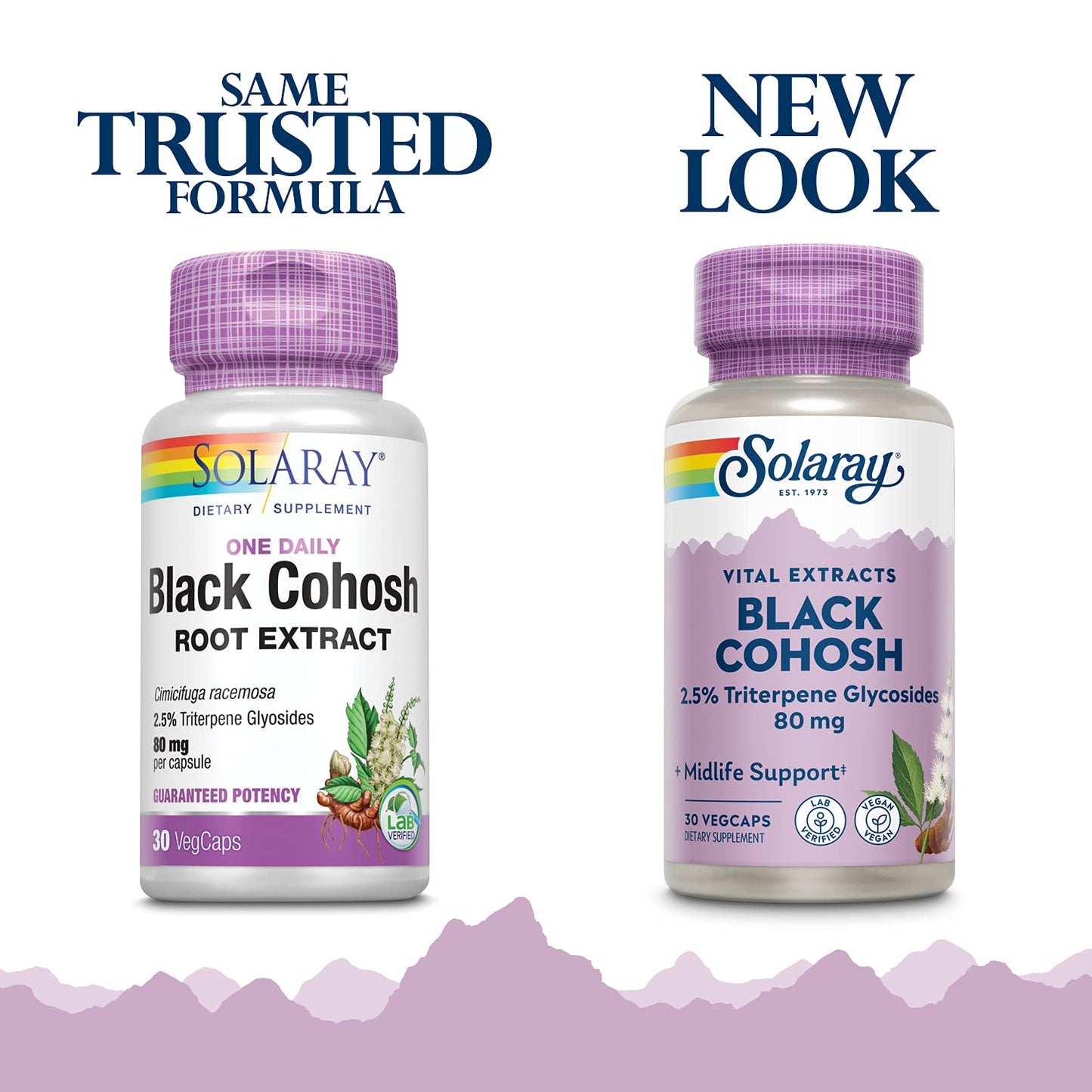 SOLARAY Black Cohosh Root Extract 80 mg - Women's Health & Menopause Support (Non-GMO, Vegan, Lab Verified)