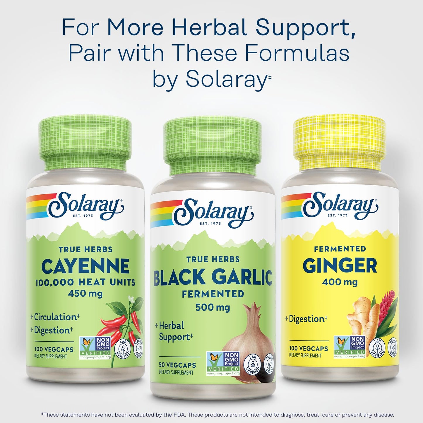 SOLARAY Black Garlic 500 mg – Fermented for Easy Digestion