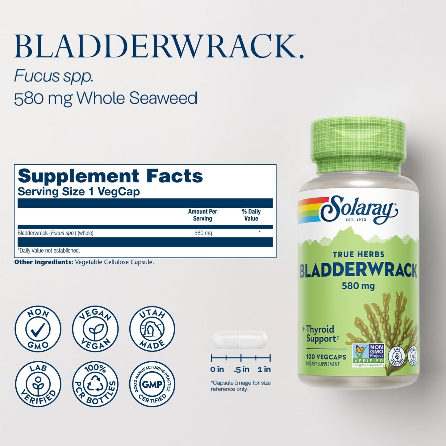 SOLARAY Bladderwrack Capsules 580 mg | Vegan Seaweed Supplement & High Iodine
