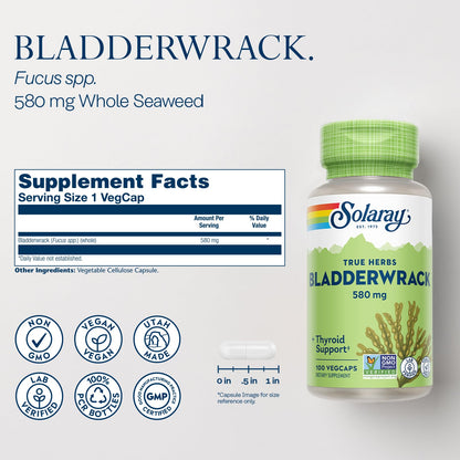 SOLARAY Bladderwrack Capsules 580 mg | Vegan Seaweed Supplement & High Iodine