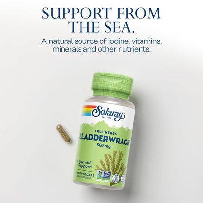 SOLARAY Bladderwrack Capsules 580 mg | Vegan Seaweed Supplement & High Iodine