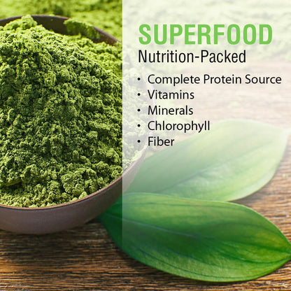 SOLARAY Broken Cell Chlorella 410 mg – 100 VegCaps | Non-GMO Superfood