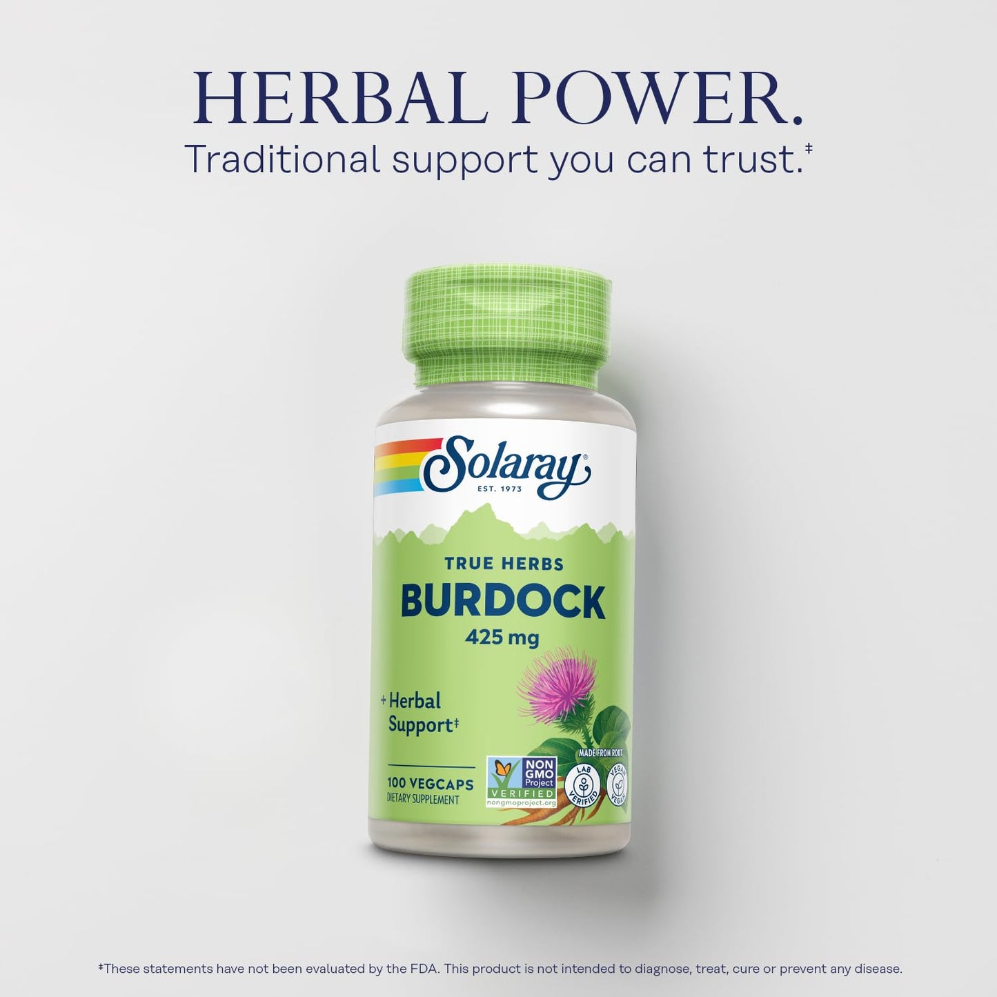SOLARAY Burdock Root 425 mg – Liver, Kidney, Digestive & Joint Support | Non-GMO | 100 VegCaps
