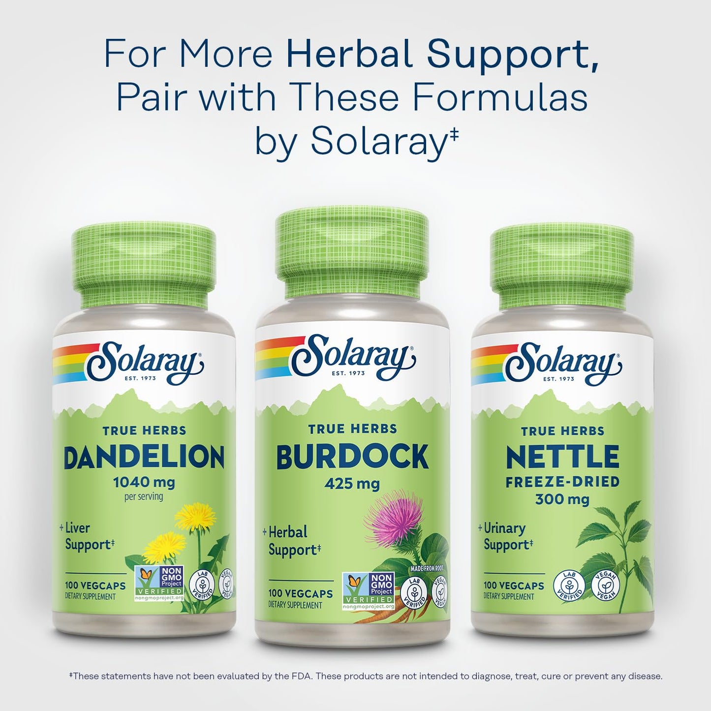 SOLARAY Burdock Root 425 mg – Liver, Kidney, Digestive & Joint Support | Non-GMO | 100 VegCaps