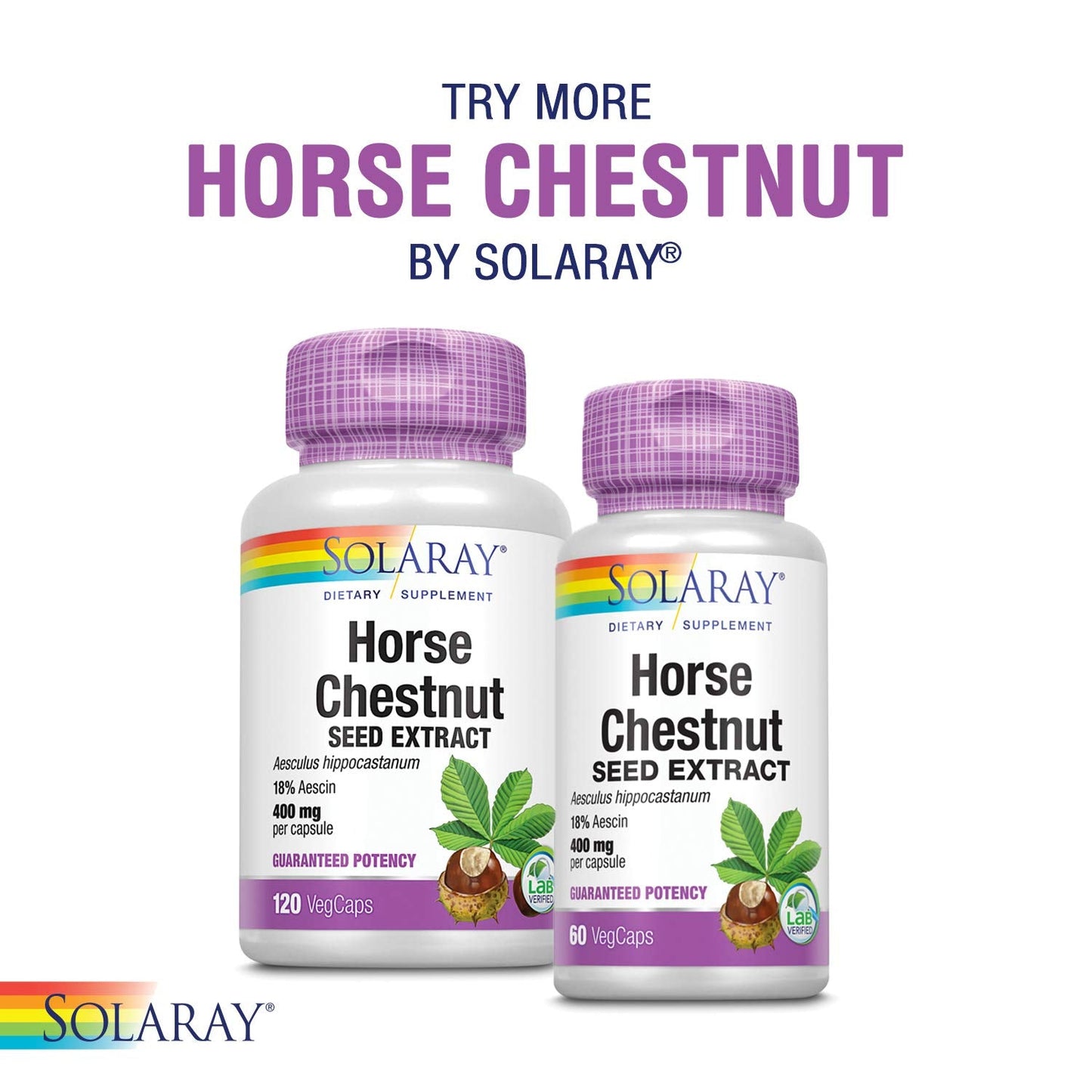 SOLARAY Circulegs - Herbal Wellness Supplement with Horse Chestnut, Vitamin C, Gotu Kola | Vegan & Gluten Free