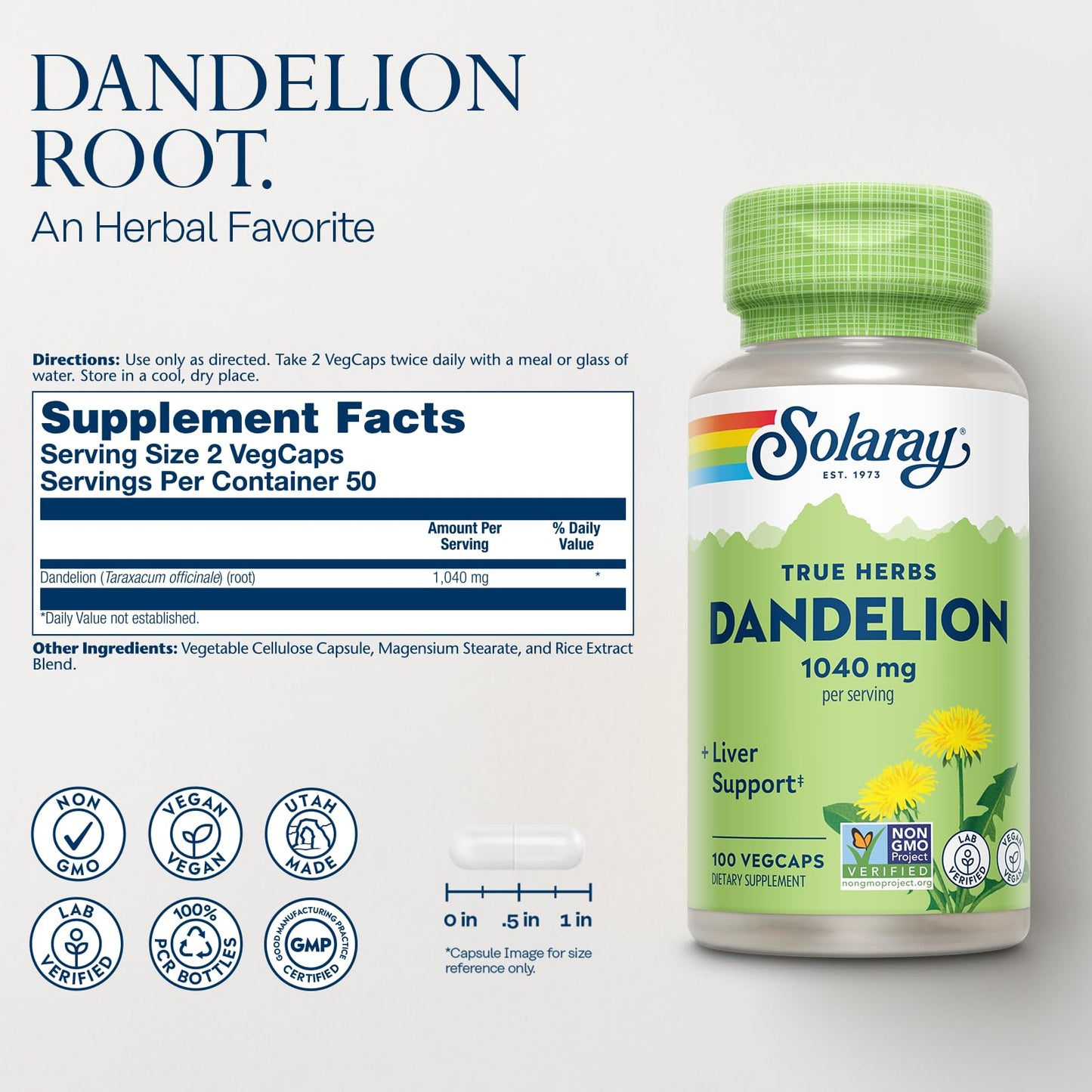 SOLARAY Dandelion Root Supplement – 1,040 mg/Serving | Kidney & Liver Support | Vegan & Lab Verified