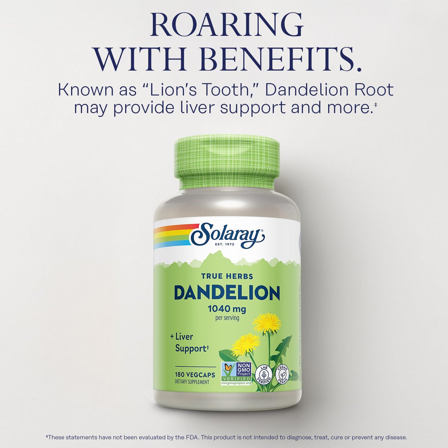 SOLARAY Dandelion Root Supplement – Kidney & Liver Support – 1,040 mg per Serving | Vegan, Lab Verified
