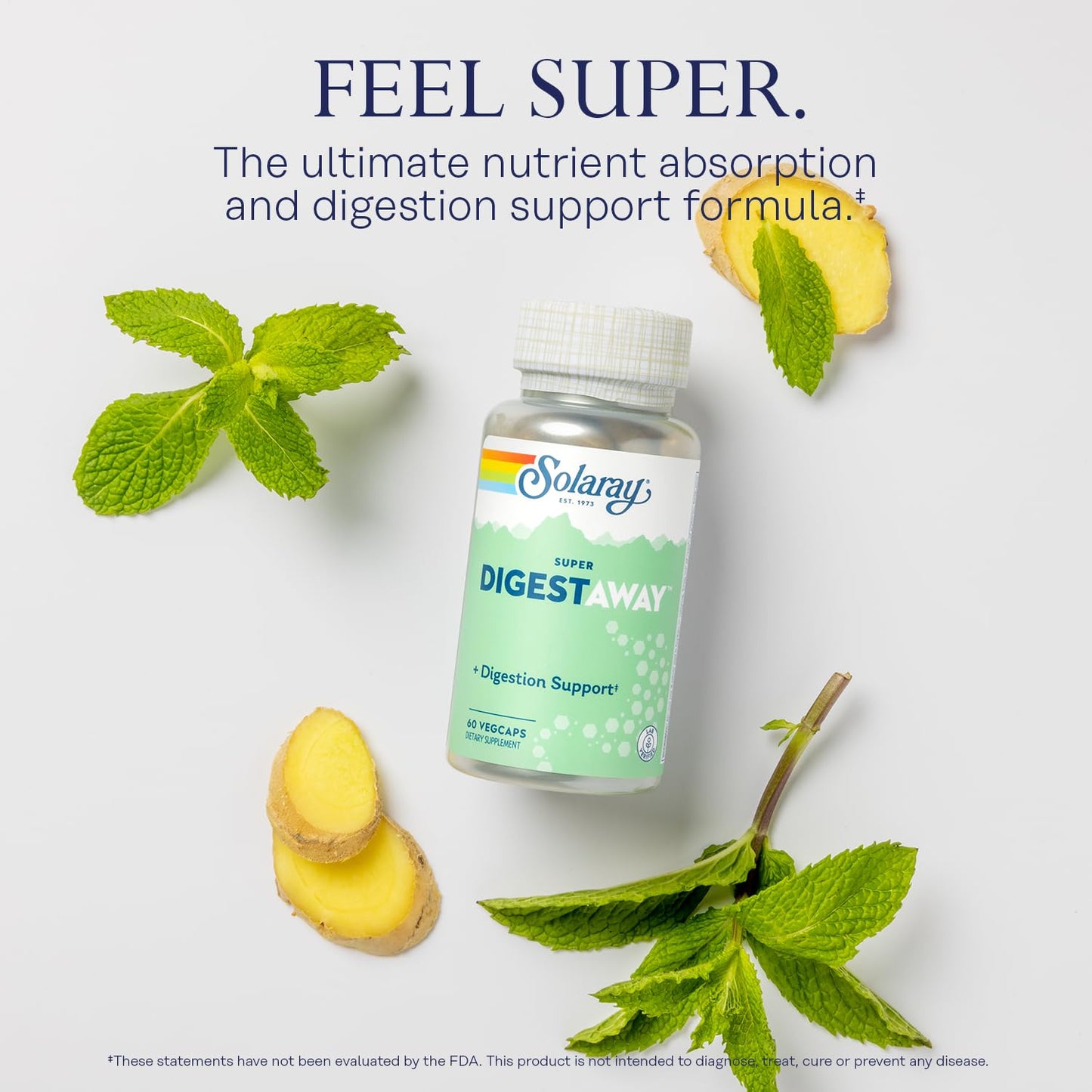 SOLARAY Super Digestaway Digestive Enzymes | Pancreatin, Papain, Ginger & More - 60 VegCaps