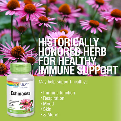 SOLARAY Echinacea Purpurea & Angustifolia Root 460 mg – Immune & Respiratory Support (180 VegCaps)