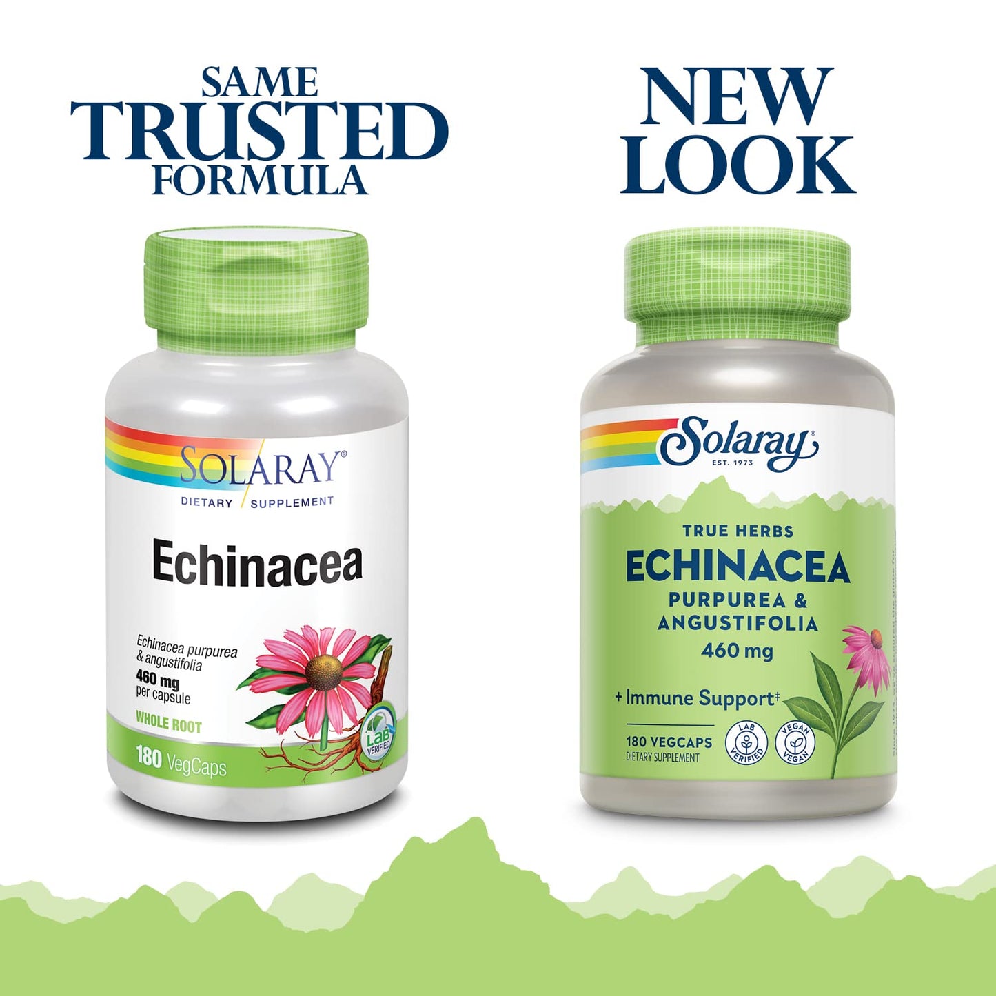 SOLARAY Echinacea Purpurea & Angustifolia Root 460 mg – Immune & Respiratory Support (180 VegCaps)