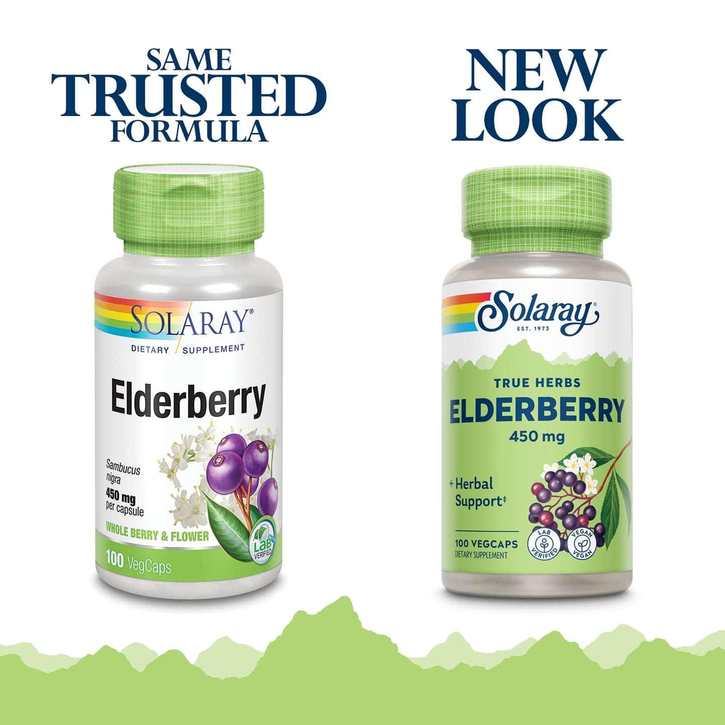 SOLARAY Elderberry Capsules 450mg - Herbal Wellness Support | Vegan, Non-GMO, Gluten Free | 60-Day Guarantee | 100 Servings