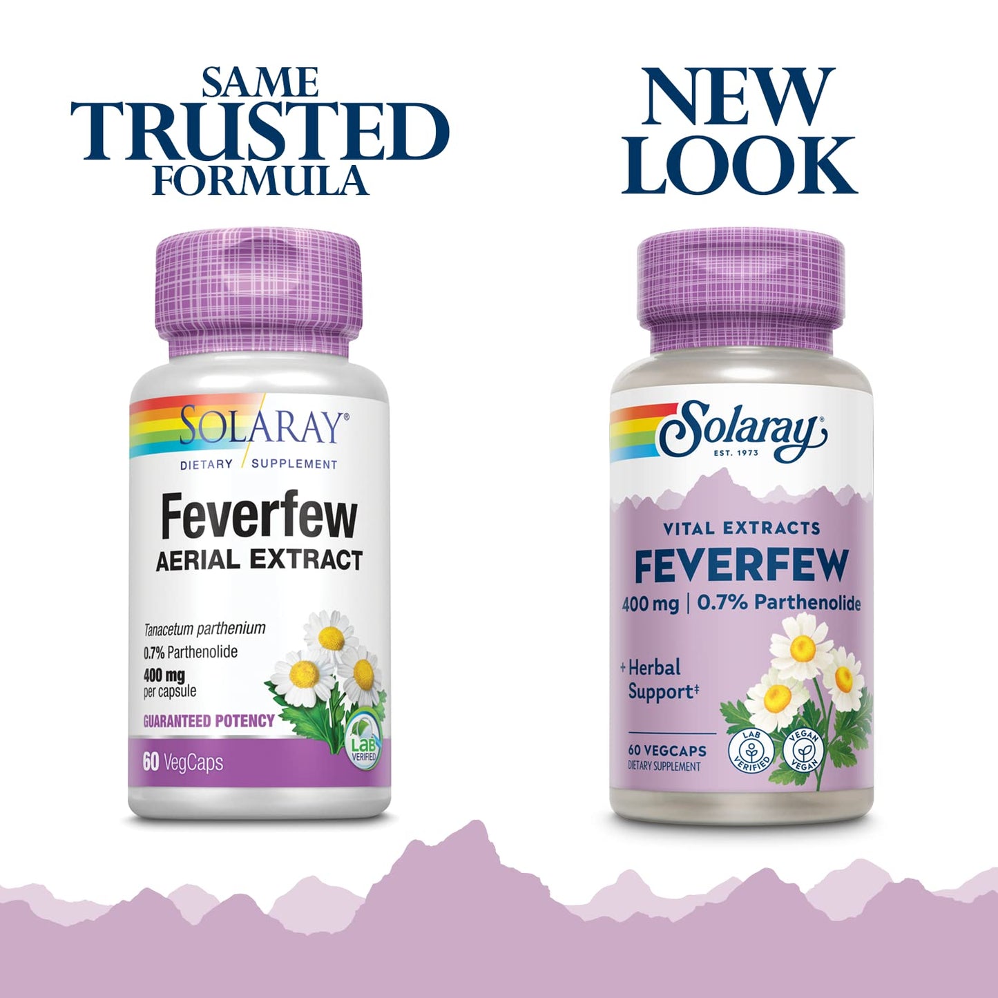 SOLARAY Feverfew Extract 400 mg | Healthy Circulation & Blood Vessels, Head Comfort Support | Non-GMO | 60 VegCaps