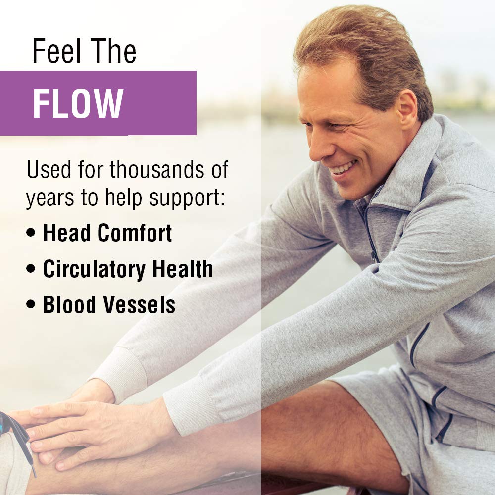 SOLARAY Feverfew Extract 400 mg | Healthy Circulation & Blood Vessels, Head Comfort Support | Non-GMO | 60 VegCaps
