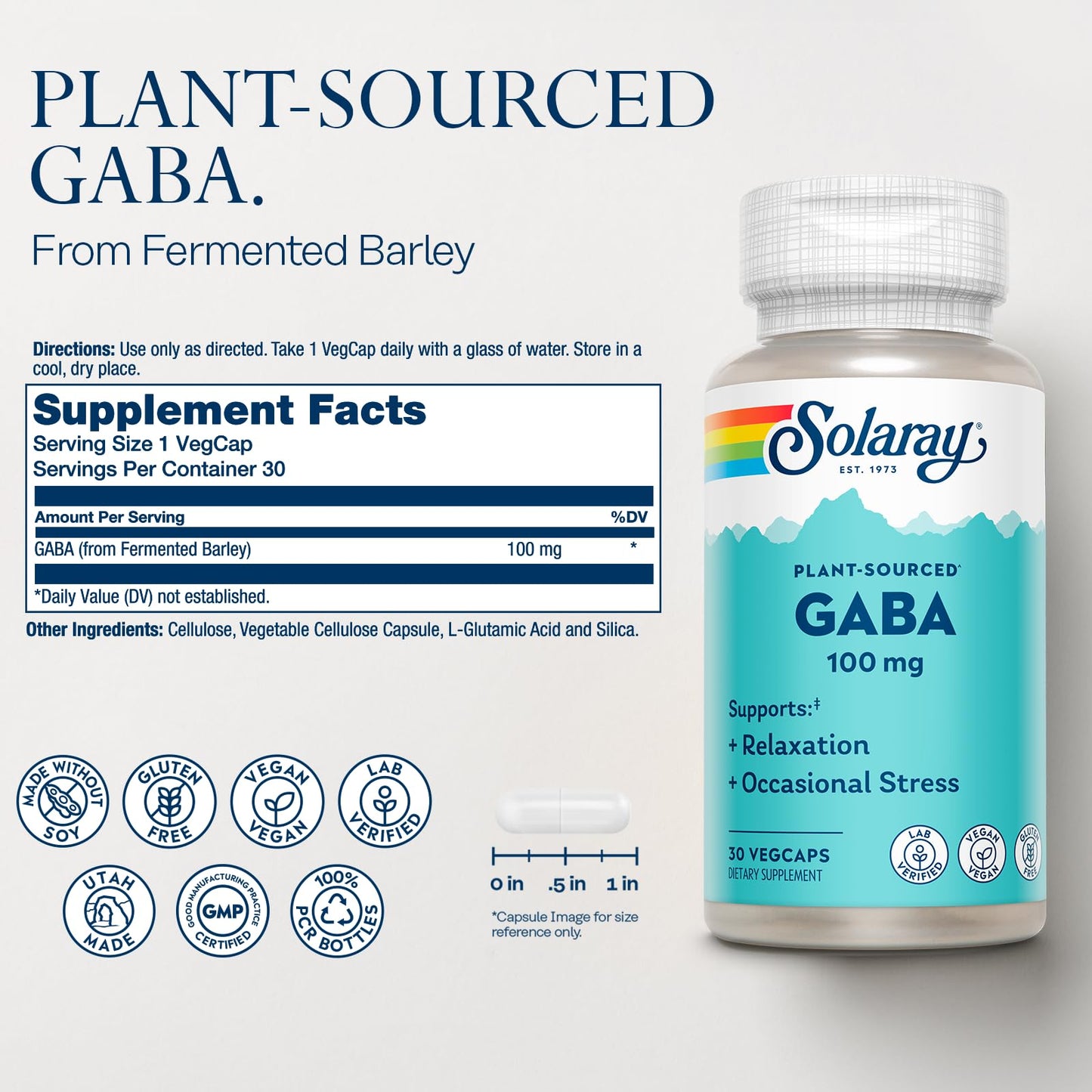 SOLARAY Plant-Sourced GABA 100 mg | Relaxation & Mood Support | Vegan & Gluten Free
