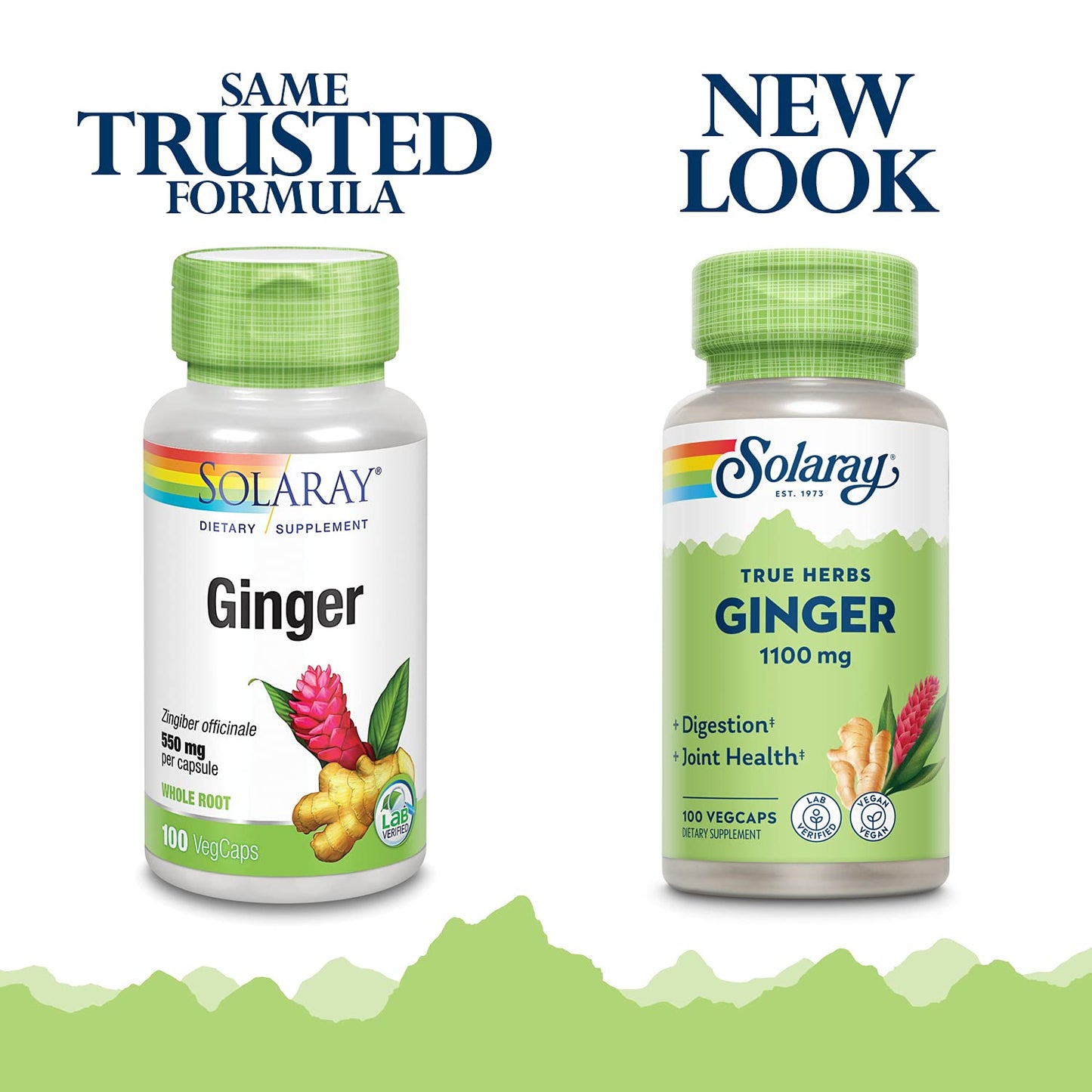 SOLARAY Ginger Root 1100mg | Healthy Digestion, Joints & Motion Support | Whole Root, Non-GMO & Vegan | 100 VegCaps