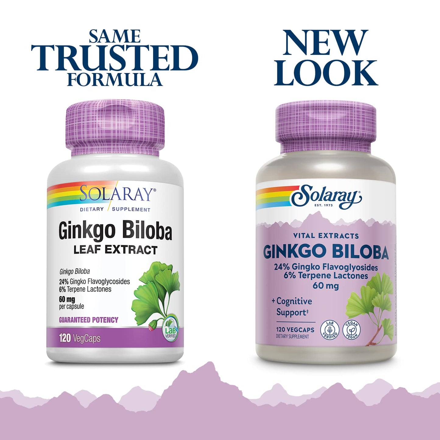 SOLARAY Guaranteed Potency Ginkgo Biloba Leaf Extract, Veg Cap - 60 mg, 120ct
