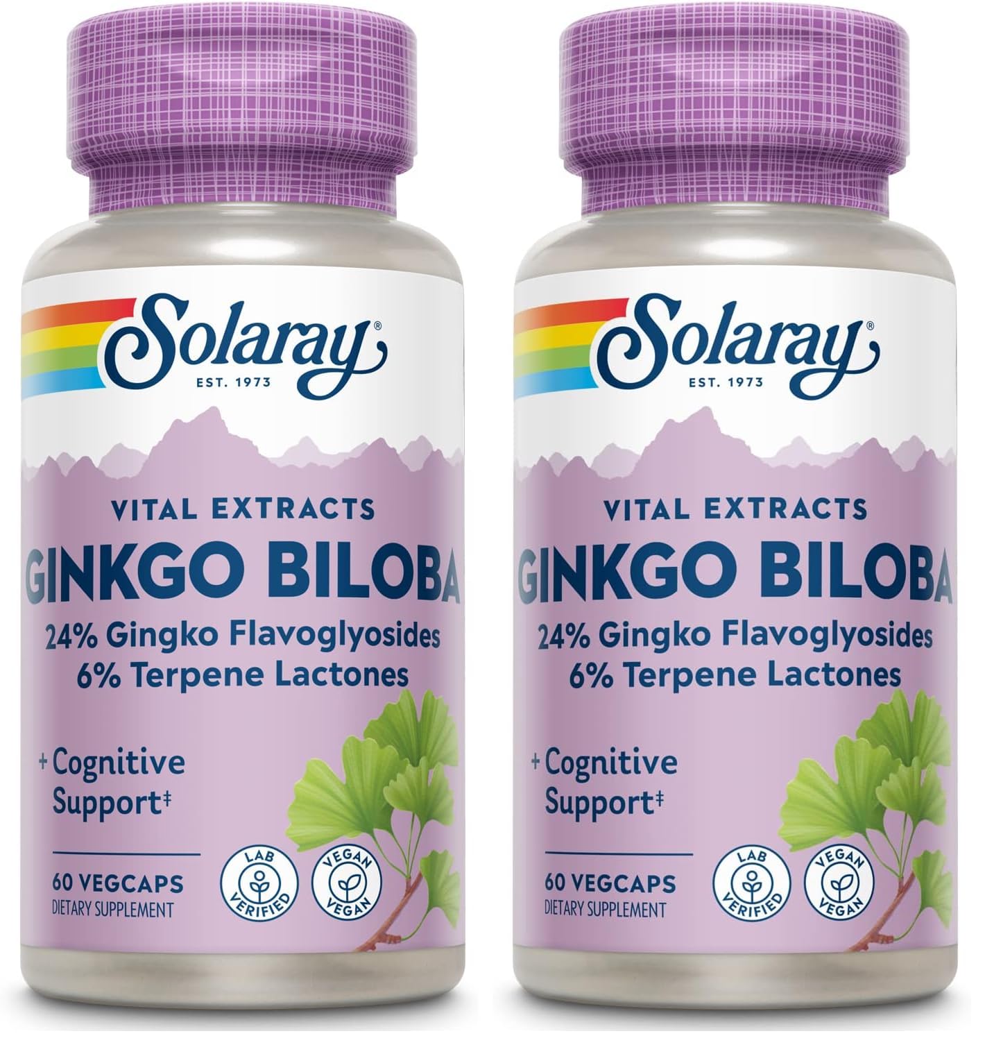 Solaray Ginkgo Biloba Extract 60 mg – 60 Count (Pack of 2) | Herbal Supplement