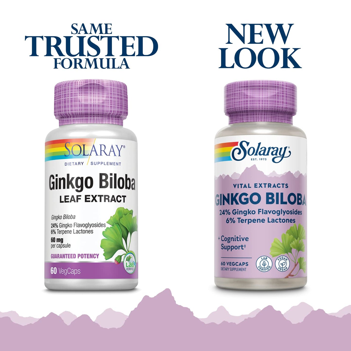 SOLARAY Ginkgo Biloba Extract, 60mg | 60 Count