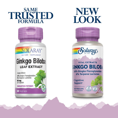SOLARAY Ginkgo Biloba Extract, 60mg | 60 Count