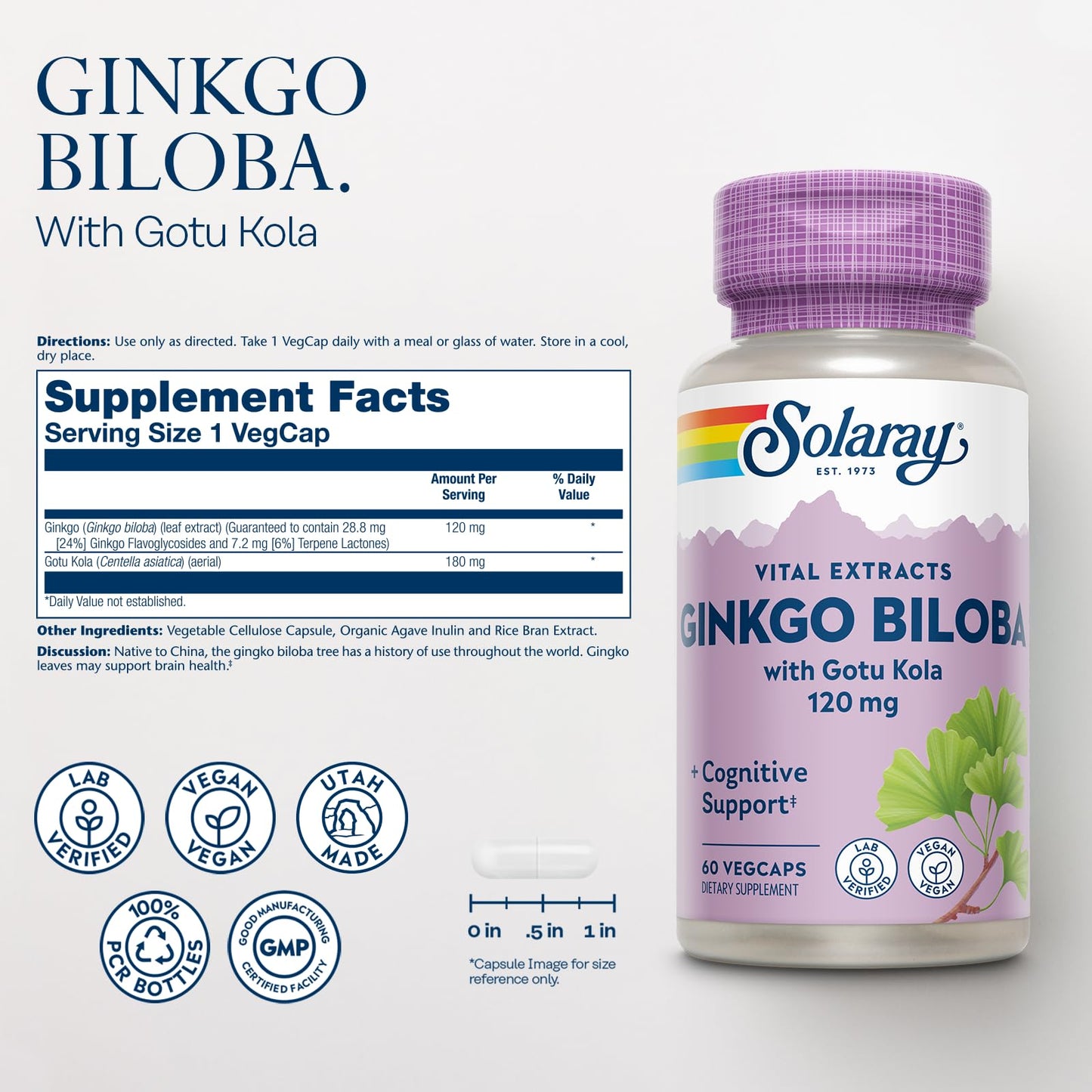 SOLARAY Ginkgo Biloba Extract with Gotu Kola – Brain Health Support, Vegan, Lab Verified, 60 Servings