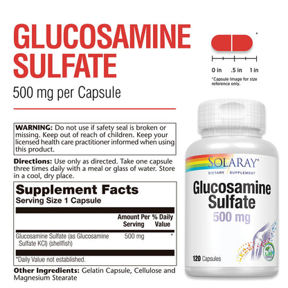 SOLARAY Glucosamine Sulfate 500 mg – Joint Health & Flexibility (60 Servings, 120 CT)