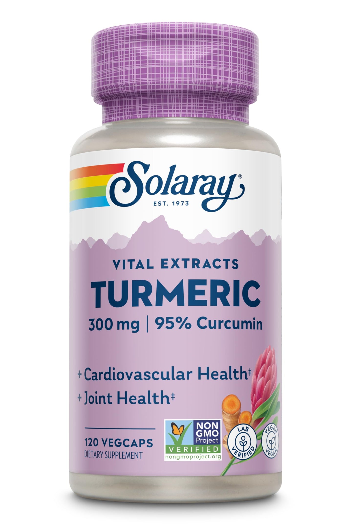 Solaray Guaranteed Potency Turmeric Root Extract 300 mg VCapsules – 120 Count
