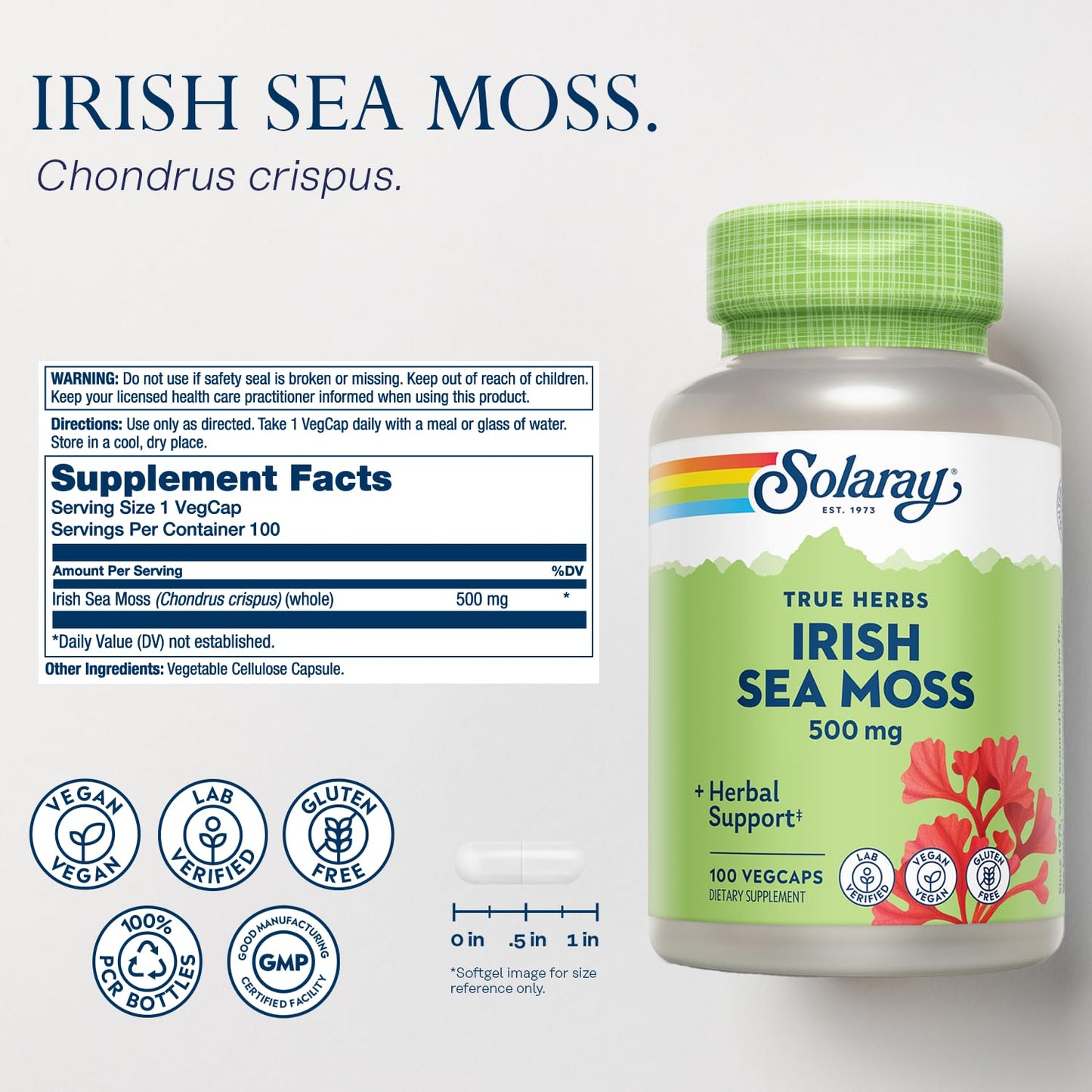 Solaray Irish Sea Moss 500 mg – Vegan, Gluten Free, Lab Verified | 60 Day Guarantee | 100 Servings, 100 VegCaps