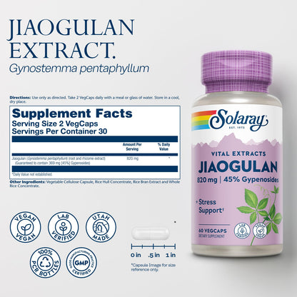 SOLARAY Jiaogulan Root & Rhizome Extract – Stress Support, Vegan
