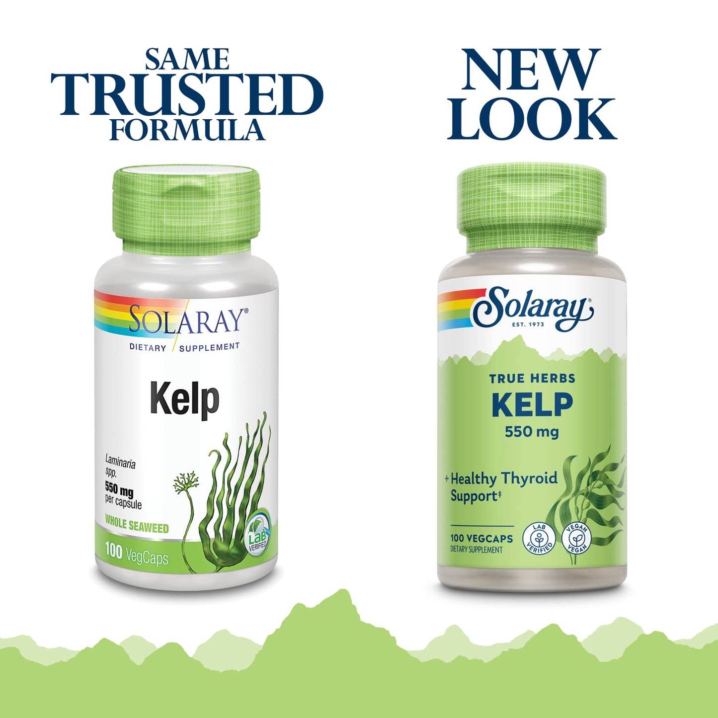 SOLARAY Kelp 550 mg with Folic Acid — Thyroid Support, Energy & Metabolism | Non-GMO | 100 VegCaps