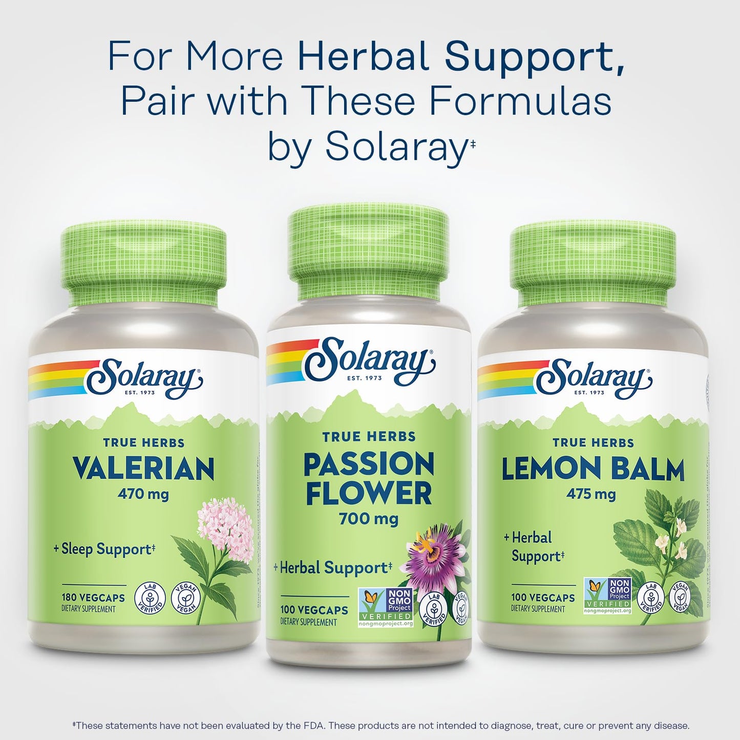 Solaray Passion Flower 700 mg Whole Aerial – 2-Pack, Vegan, Non-GMO, Lab Verified