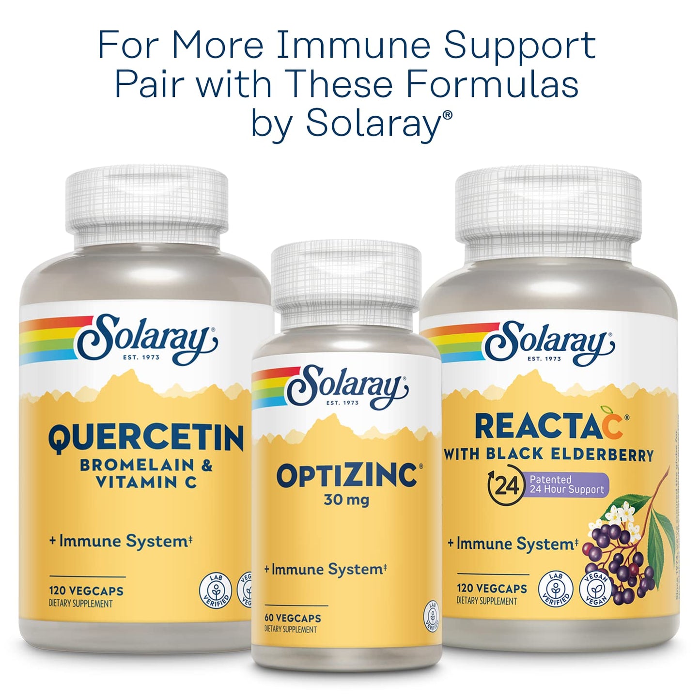 Solaray L-Lysine Monolaurin Immune Support – 500 mg, 60 VegCaps, 30 Servings
