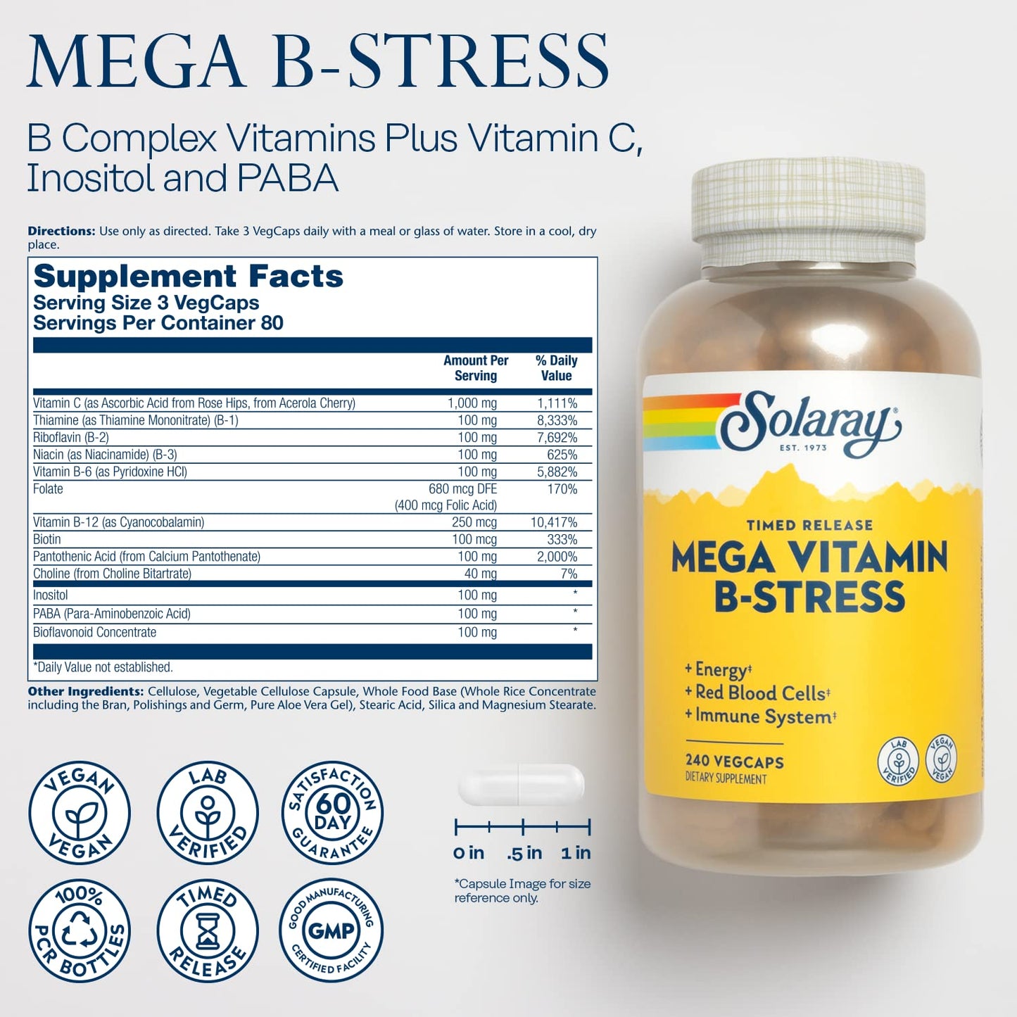 SOLARAY Mega Vitamin B-Stress – Timed Release B-Complex with B12, B6, Folic Acid & Vitamin C | Stress Support, Energy & Immune Health – Vegan, 240 CT | 60-Day Guarantee